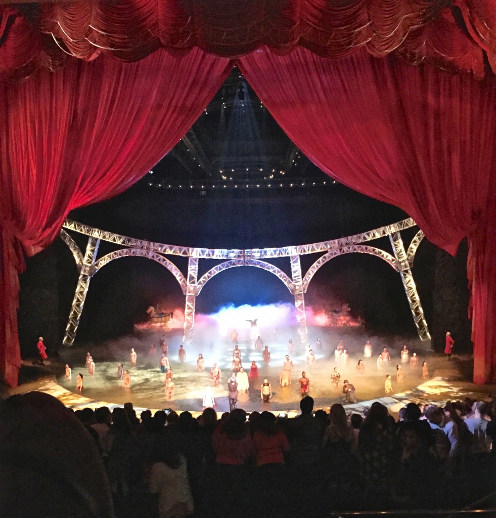 We so Cirque Du Soleil's "O" in Vegas, it was fantastic!