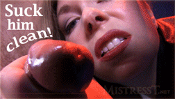 Suck Cock Balls Ass