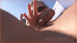 Beach Cock Control