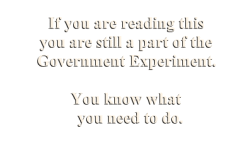 Government Experiment - Phase 5 (the End)