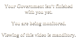 Government Experiment - Phase 4